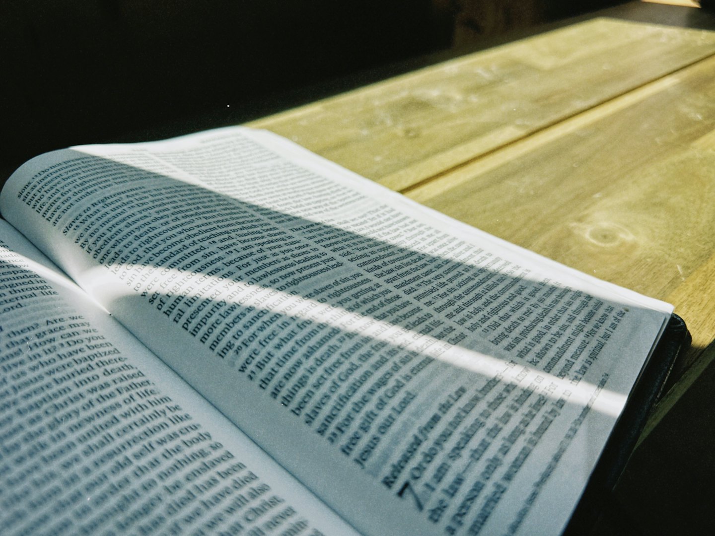 lezioni di esegesi biblica ai discepoli di Ges&ugrave;